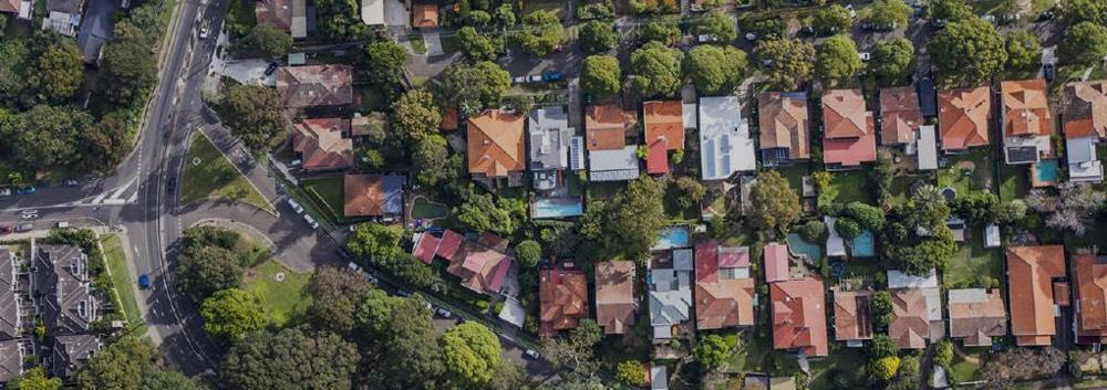 Ingrid Postema, photo 1