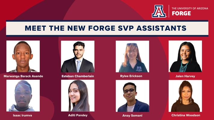 Arvin Veera, photo 2