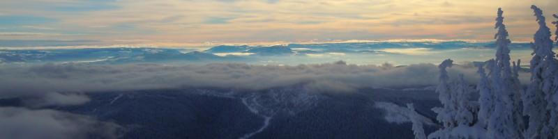 Felix Niemeier, photo 1