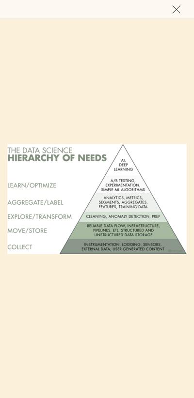 Monica Rogati, photo 2