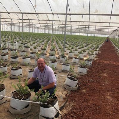 Guillermo Vidales, photo 2