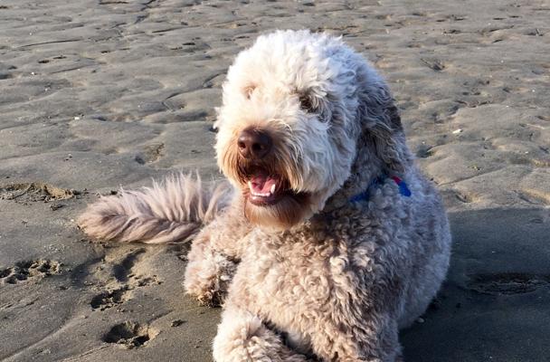 Kendall Egan, photo 1