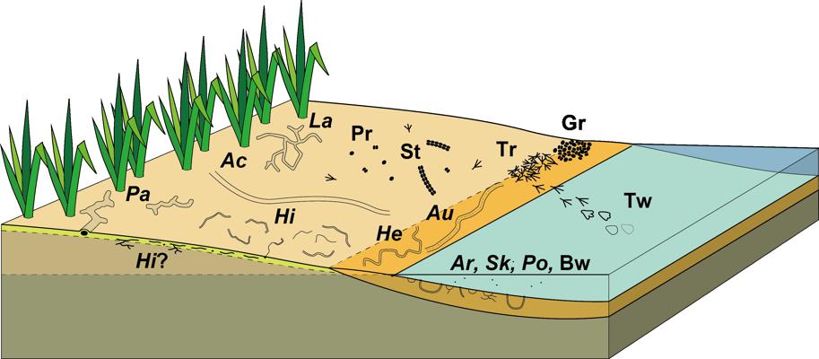 Scott Corlett, photo 1