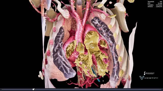 Hirofumi Seo, M.D., Ph.D., photo 2