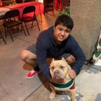 Daniel Paulino, photo 2