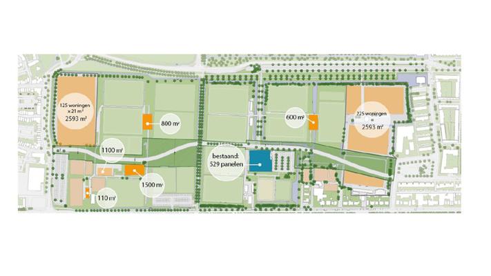 Bob van Dijck, photo 1