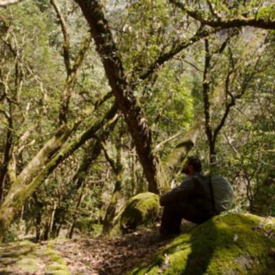 Soaham Dixit, photo 1