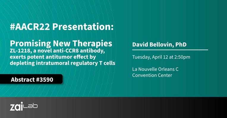 David Bellovin, photo 2