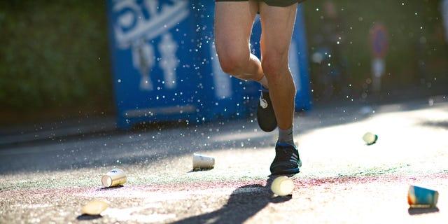 Timo Knibbe, photo 2