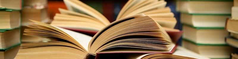 Bba Mona Kooner, photo 2