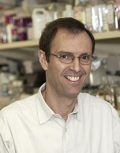 Henry Levin, photo 1