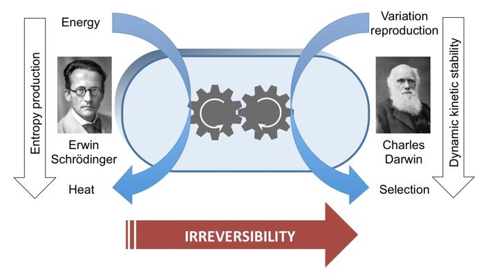 Rob Sutherland, CD, photo 2