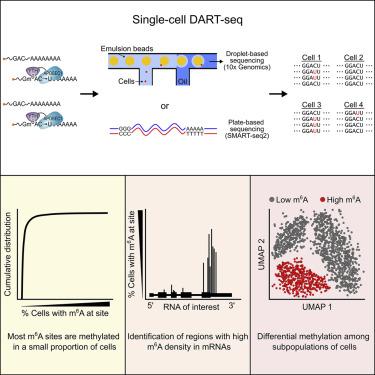 George Auer, photo 1