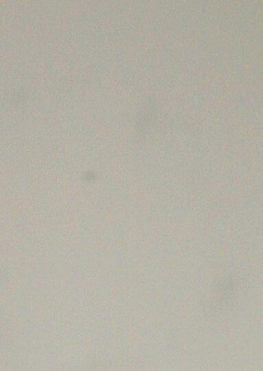 Chad Mark Manney, photo 1