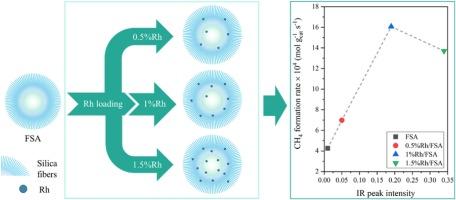 Michel Darius, photo 1