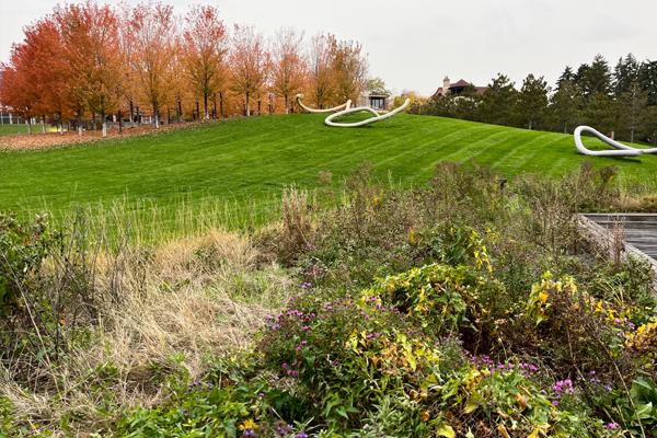 Stephen McMurchie, photo 2