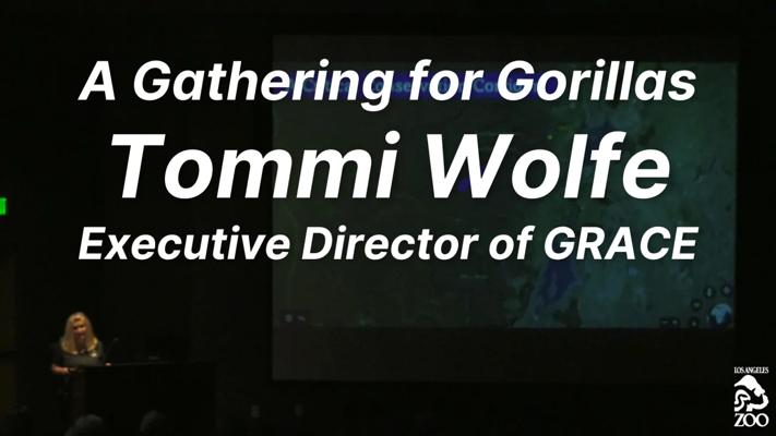 Tommi Wolfe, photo 2