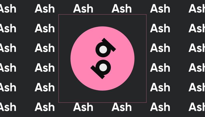 Ash Bhimasani, photo 1