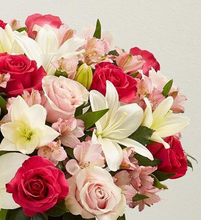 Polly Creech, photo 1