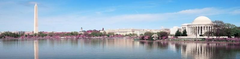 Brynn Hammond, photo 2