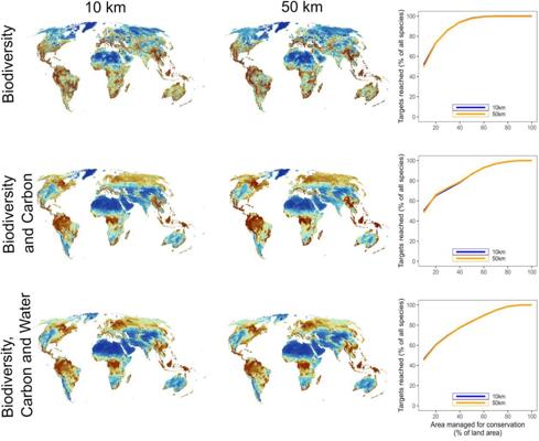 Scott Corlett, photo 2