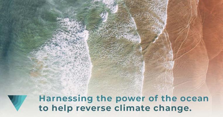 Shanee Stopnitzky, photo 1