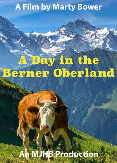 Rohan Vaidya, photo 2