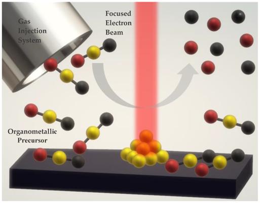 Javier Berezovsky, photo 1