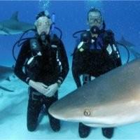 Mark Temples, photo 1