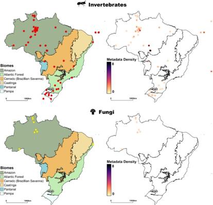 Cornelio Cabral, photo 1