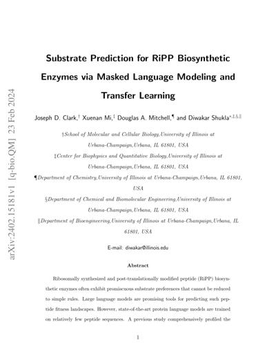 Mitch Verkuil, photo 2