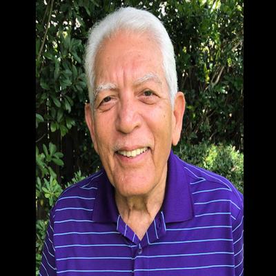 Ravish Verma, photo 1