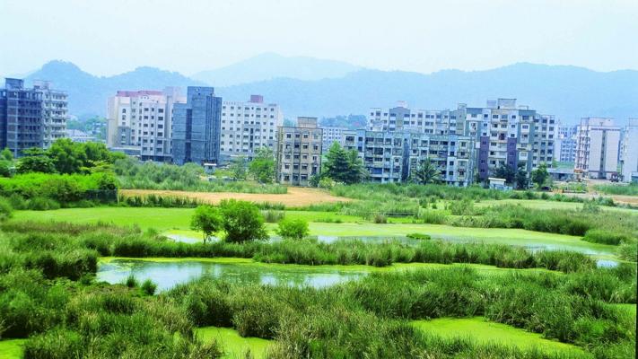 Jaydeep Kanakia, photo 1