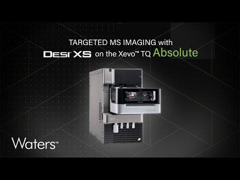 Desi Waters, photo 2