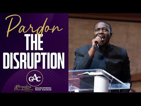 Stephen Allen, photo 2