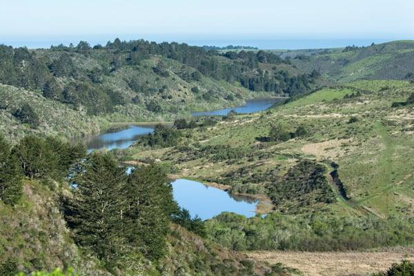 Daniel Olstein, photo 1