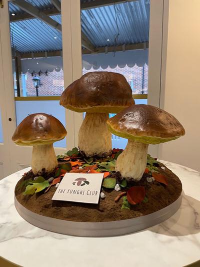 Laurent Lebeau, photo 1