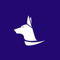 Ehsan Razaghi, photo 2