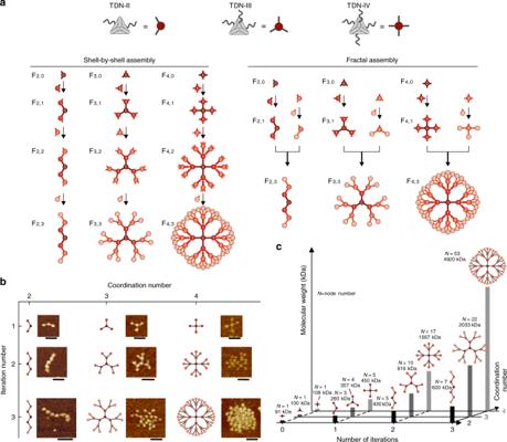 Vigneshwar Murali, photo 2
