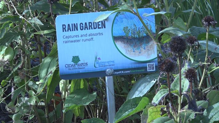 Cara Matteson, photo 2