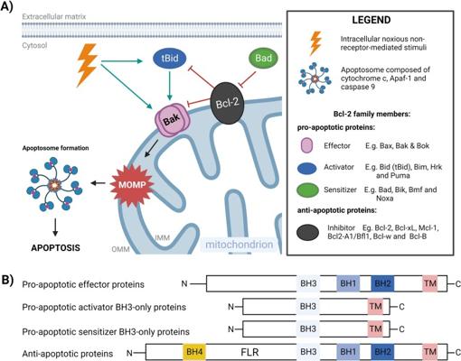 Roelant Kooij, photo 1