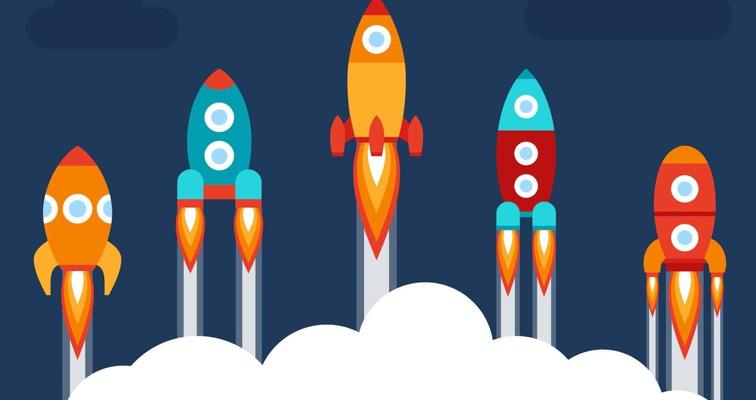 Wilfried N., photo 1