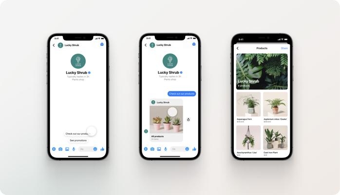 Alonzo Canada, photo 2