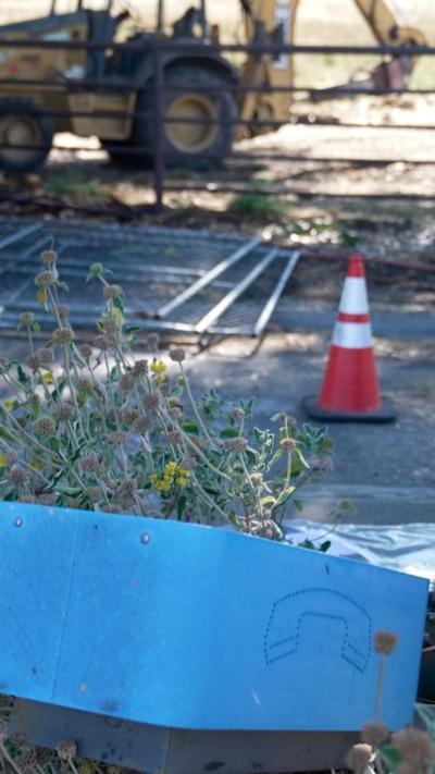 Simon Lowrie, photo 2