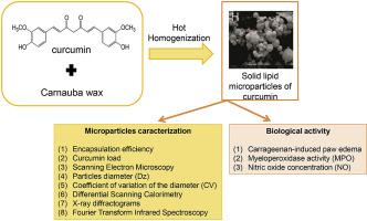Raphael Carnauba, photo 1
