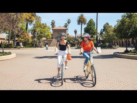 Maya Guzdar, photo 2