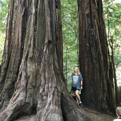 Travis Alber, photo 1