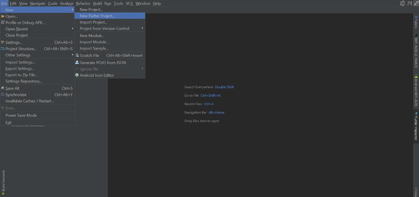 Elvis Chidera, photo 2