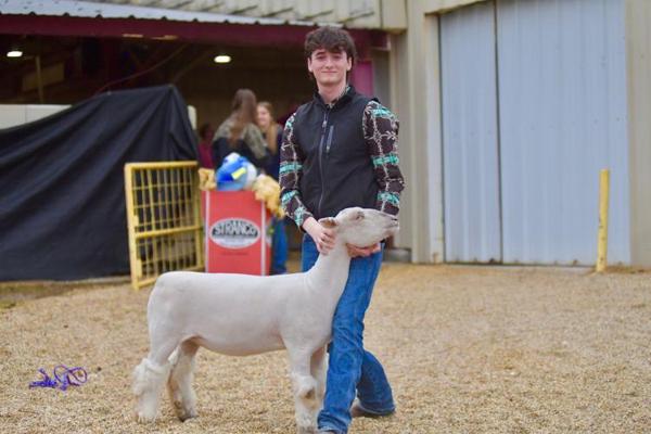 Till Wiegmann, photo 2