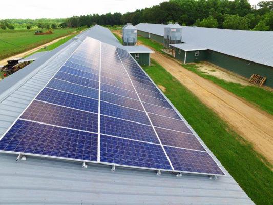 Brett Sikes, photo 1